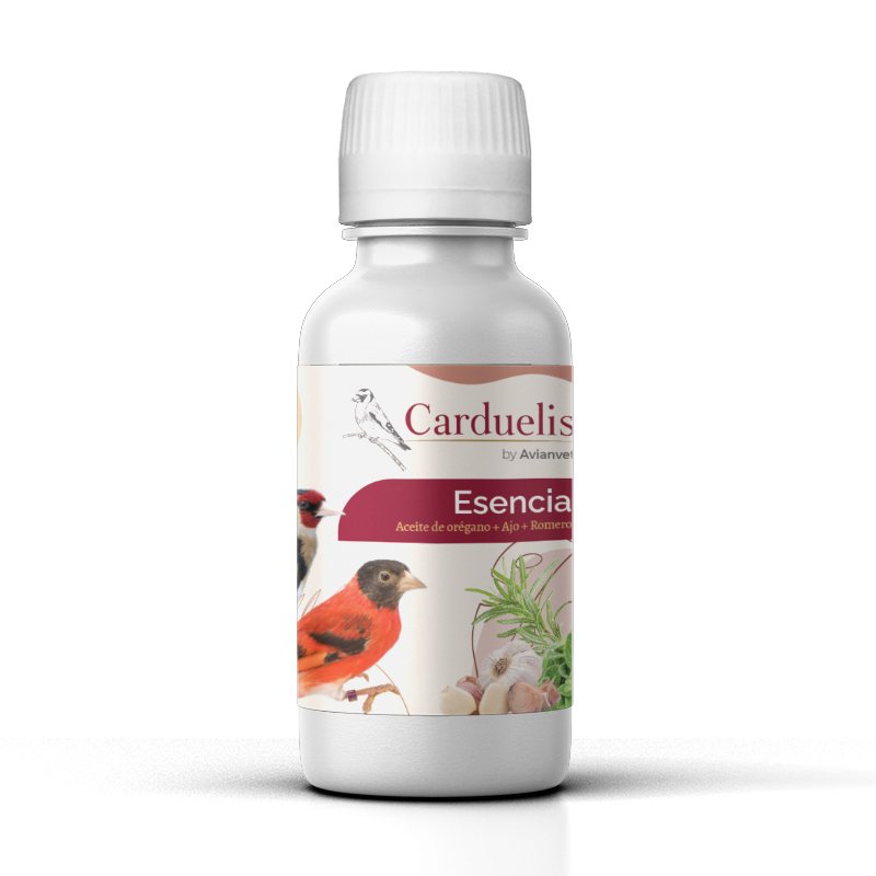 Carduelis Esencia