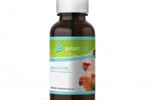 Απολύμανση πόσιμου νερού