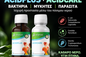 Οξινιστές Νερού για Πτηνά | Υγιεινή Νερού & Υποστήριξη Πεπτικού