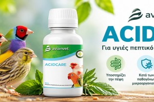 Εντερικά Προβλήματα στα Πτηνά: Διάρροια, Παθογόνα & Κοκκιδίωση – Ο Ρόλος του Acid Care