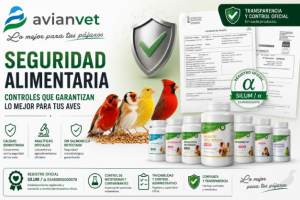 Τι Ελέγχους Ποιότητας Περνούν τα Προϊόντα Avianvet; Ασφάλεια & Διαφάνεια σε Κάθε Φόρμουλα