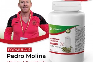 Vitamin A Digestive Formula Pedro Molina – Εξειδικευμένο συμπλήρωμα Avianvet για υπολειπόμενα λευκά καναρίνια