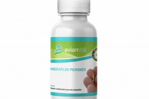 HIDRAPLUS PICHONES - Κατά της θνησιμότητας των νεοσσών