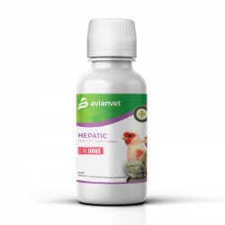 Avianvet Hepatic Líquido – Υγρό Προστατευτικό Ήπατος για Πτηνά – 100 ml