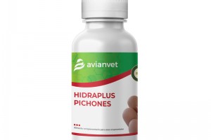 AVIANVET Hidraplus Pichones | Ενυδάτωση Νεοσσών & Θνησιμότητα