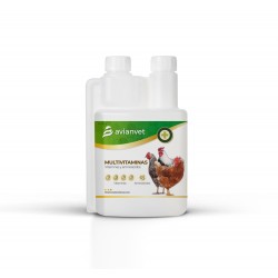 Avianvet Gallinas Multivitamins | Πολυβιταμίνες για Κότες & Πουλερικά - 200ml