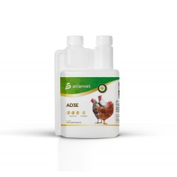 Avianvet Gallinas AD3E για Κότες & Πουλερικά | Βιταμίνες Ωοτοκίας AD3E - 200ml