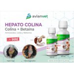 Avianvet Hepatocolina – Αναγέννηση Ηπατικών Κυττάρων & Προστασία Ήπατος – 100 ml