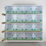 New Canariz - DESIRE 90X40 - 3150 (4 Κλούβες)