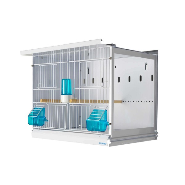 New Canariz - EVOLUTION 45 - 2700