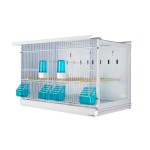 New Canariz - EVOLUTION 63 - 2900