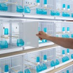 New Canariz - EVOLUTION 63 - 2900