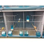 New Canariz - LIBERTY 3150