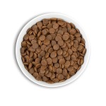 ERA Grain-Free Duck Monoprotein Medium & Large Breed | Τροφή για ενήλικους μεσαίους/μεγαλόσωμους σκύλους Χωρίς Δημητριακά | 2kg ERA Grain-Free Duck Monoprotein Medium & Large Breed | Τροφή για ενήλικους μεσαίους/μεγαλόσωμους σκύλους Χωρίς Δημητριακά | 2kg