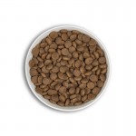 Era Millennium Adult Medium Large Breeds Chicken & Pheasant- 2kg