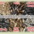 Hungenberg - Ηλιόσπορος Micro για καρδερίνες - 1kg