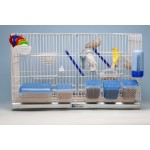 Moldes Ave – Ημερολόγιο Αναπαραγωγής Πτηνών (Calendario de Cría)