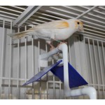 Moldes Ave – Ατομική Πατήθρα (Τριπλή) για Κλουβιά & Τοίχο