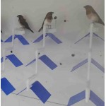 Moldes Ave – Ατομική Πατήθρα (Τριπλή) για Κλουβιά & Τοίχο