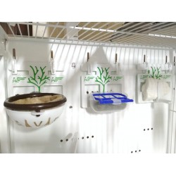 Moldes Ave – Υποστήριξη KM για Αξεσουάρ & Σουπιοκόκκαλο