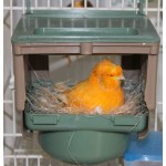 Moldes Ave – Βάση “Nido Dubai Base” για Φωλιά Dubai (8cm)