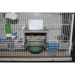 Moldes Ave – Βάση “Nido Dubai Base” για Φωλιά Dubai (8cm)