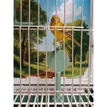 Moldes Ave – Πολυλειτουργική Πατήθρα σε Σχήμα “Τ” με Περιστροφή & Προσαρμογή (Λευκή)