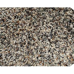 Pico - Boiling Seeds - Σπόροι βρασίματος για καναρίνια και ιθαγενή - 1kg