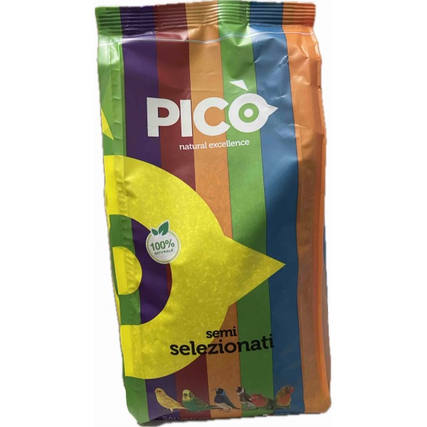 Pico CICORIA - Κιχώριο - 800gr