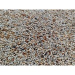 Pico - Cocorite Allevamento SPECIAL - Ειδικό μείγμα για budgie - 1kg