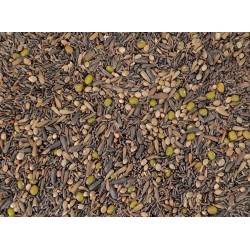 Pico - Semi Germinabili - Μείγμα σπόρων βλαστώματος για καναρίνια και ιθαγενή (δεν προκαλεί ανεπιθύμητο χρωματισμό πτερώματος) - 5kg