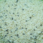 Pastoncino - S. Michele Bianco (Ουδέτερη πατέ) - 5kg